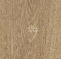 Кварцвиниловые полы Forbo Allura Click Pro 60284CL5 natural giant oak фото 1 | FLOORDEALER